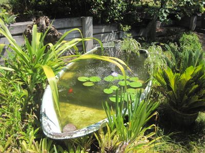 Garden Fish Pond with Fountain
