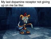 cc1.jpg
